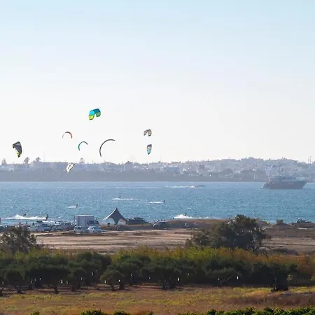 Zoe & Zen Collection