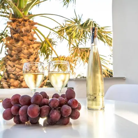 Zoe & Zen Collection *