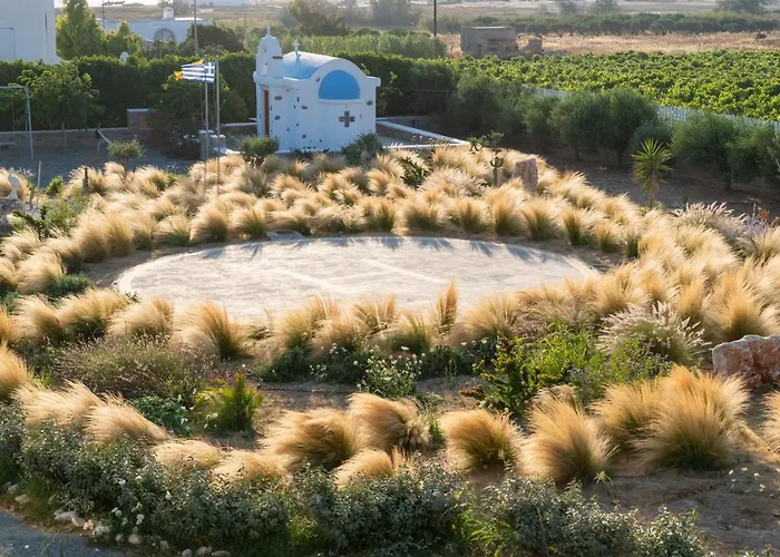 Apartment Zoe & Zen Collection