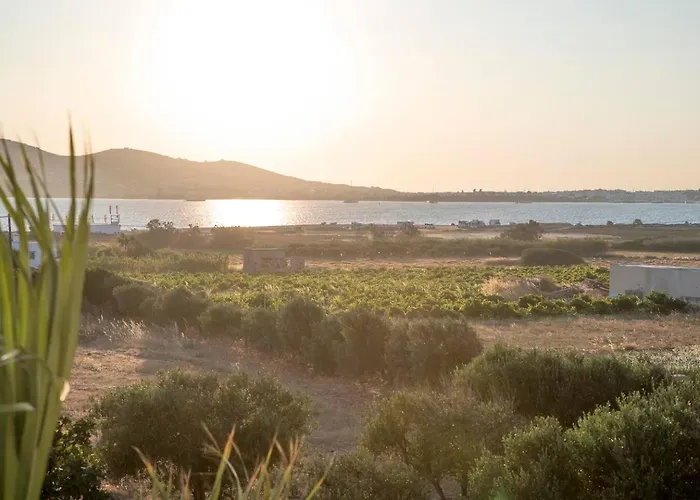 Zoe & Zen Collection