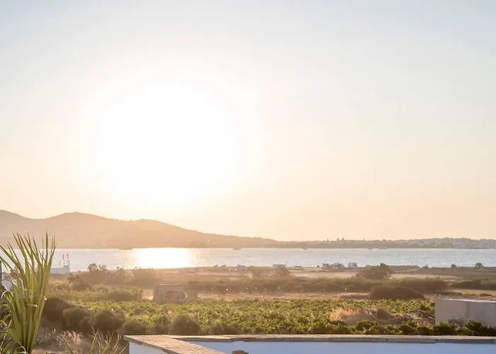 Zoe & Zen Collection Apartment